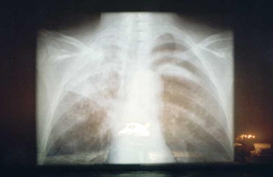 La Traviata | Theater Aachen 2003